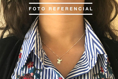 Collar Mini Amigo Cocker